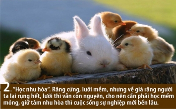 Học làm người theo Ngài Tinh Vân